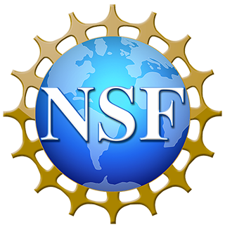 nsf-logo-1efvspb